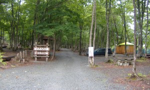 ぽよよんの森オートキャンプ場