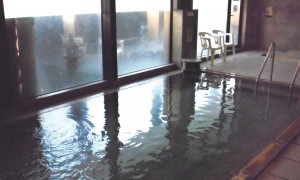 史跡の里交流プラザ　柵の湯
