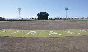 十五野公園野球場（平鹿野球場）